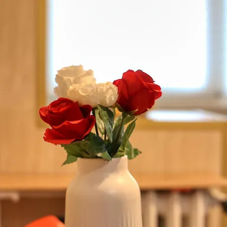 Guest - 11 Apartment