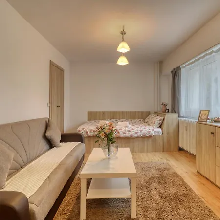 Guest - 11 Apartment