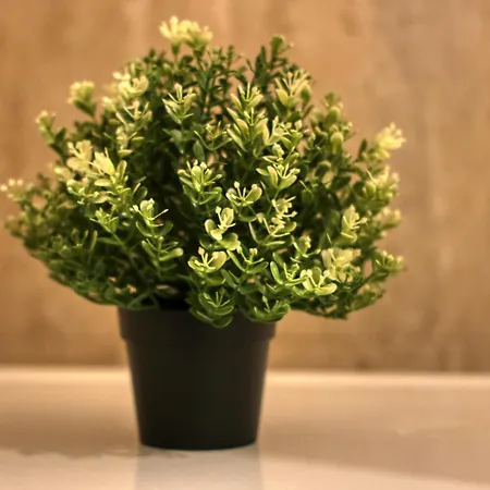 Guest - 11 Apartment *