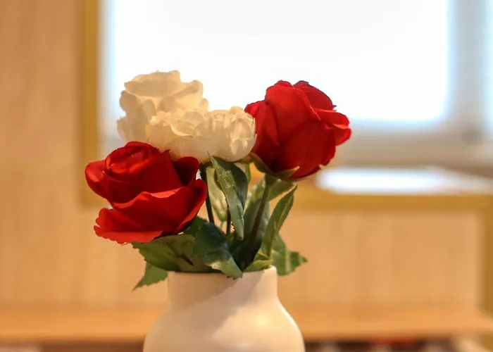 Guest - 11 Lejlighed