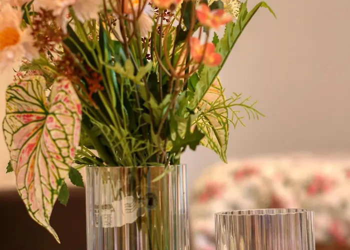 Appartamento Guest - 11 *