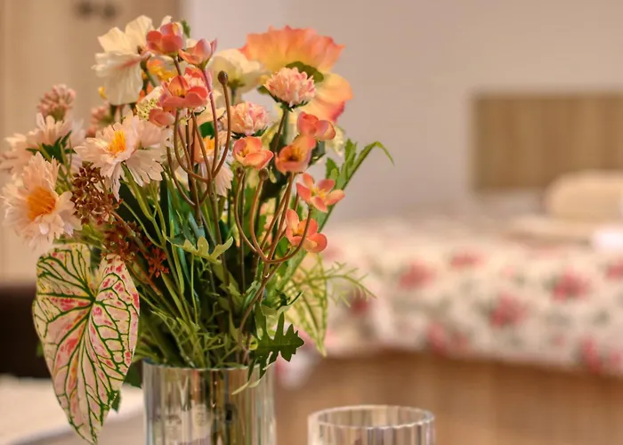 Guest - 11 * Bukarest