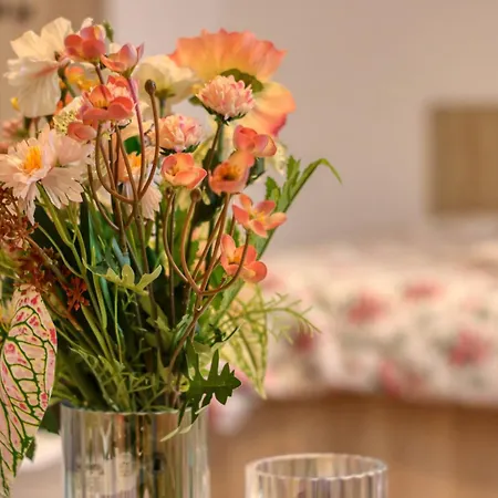Guest - 11 * Бухарест